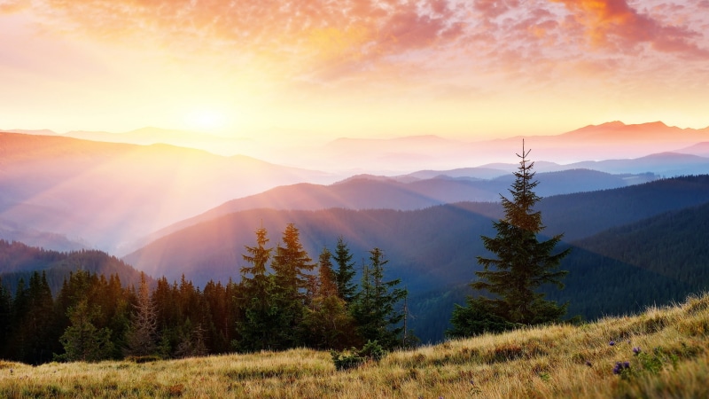 sunlight, no People, rural Scene, season, environment, coniferous tree, fog, blue, cloud - Sky, nature, light, sunset, mist, sky, inspiration, land, carpathian Mountain Range