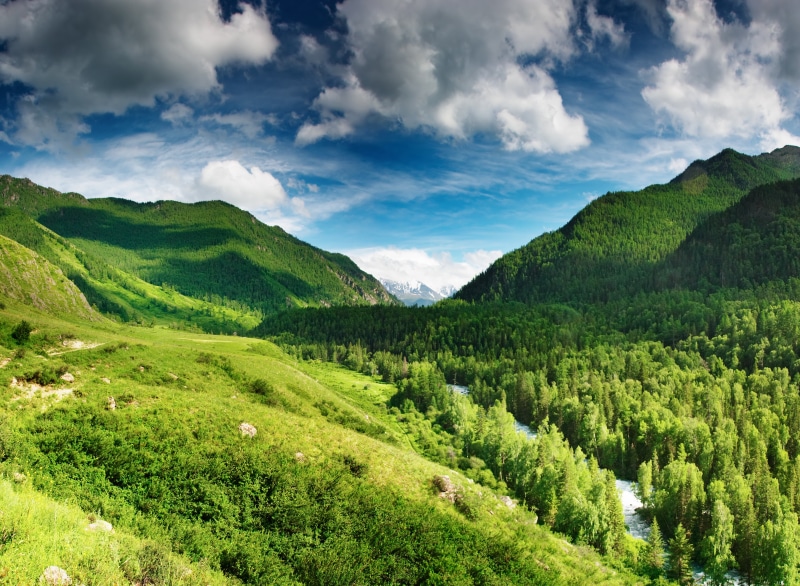 idyllic, no People, non-Urban Scene, plant, landscape, europe, rock - Object, rural Scene, lush foliage, springtime, blue, woodland, hiking, summer, green