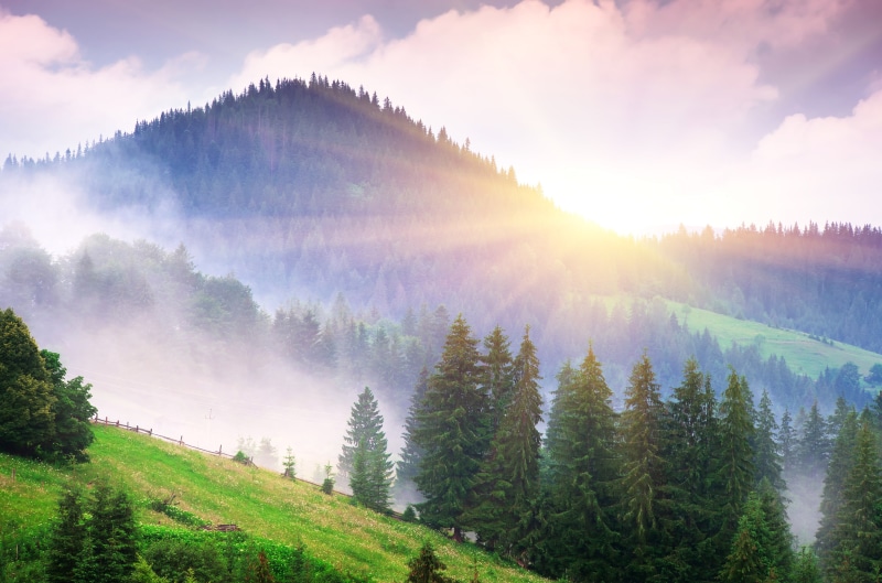 land, mountain, forest, day, mountain Range, mist, tranquil Scene, outdoors, meadow, plant, idyllic, beauty In Nature, fir Tree, green, mountain Peak, europe