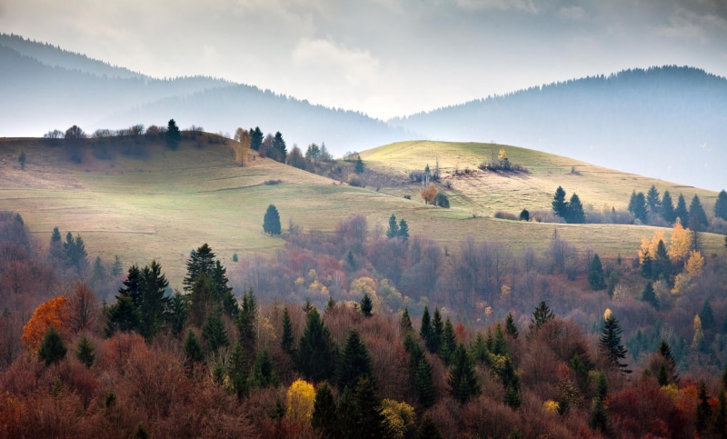 Ukraine, rural Scene, woodland, tree, summer, scenics - nature, cloud - Sky, green, outdoors, field, 1080P, sunrise - Dawn, blue, trees, mountains, sunlight