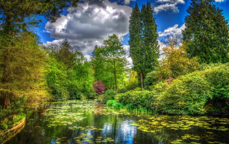 park, grass, England, Tatton Park, 1080P, clouds, treee, leaf, bushes, green, tatton, trees, processing, pond