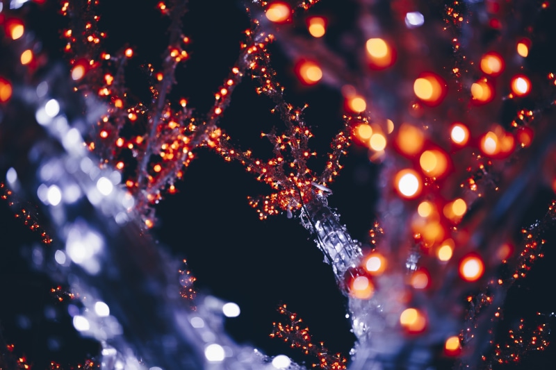 photo, outdoors, treee, close, light - natural phenomenon, celebration, event, illuminated, christmas lights, christmas decoration, defocused, abstract