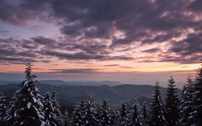 winter, tree, sunlight, mountains, scenics, majestic, wilderness Area, tops, spruce Tree, backgrounds, summer, fir Tree, european Alps, sunrise - Dawn