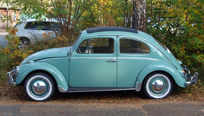 metal, outdoors, mode of transportation, treee, near, beetle, vw beetle, day, nature, no people, motor vehicle, vw, automotive, volkswagen, retro styled