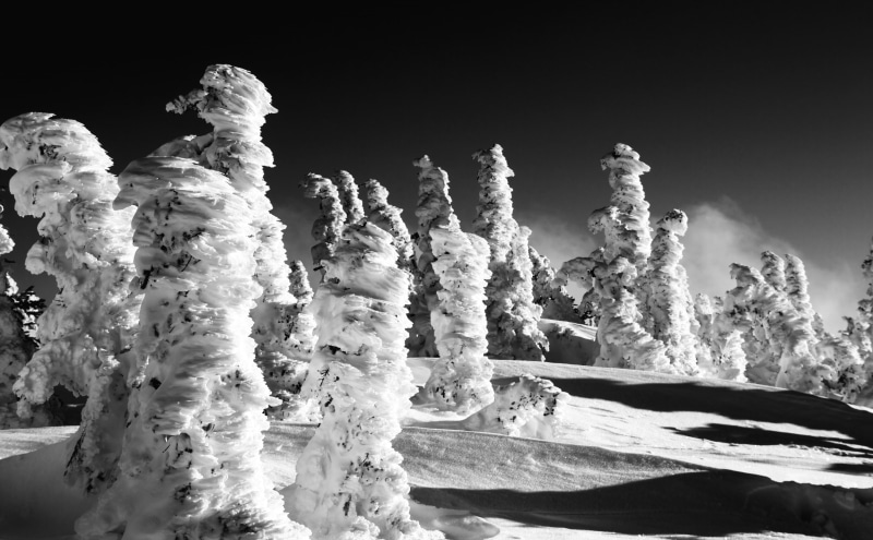 Nature, Black, clear sky, Winter, treees, trees, bw, Black and White, Mountains, Skiing, Cold, tranquility, White, land, 5K, Landscape, no people, snow
