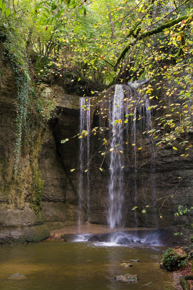 plant, flowing water, non-urban scene, tree, nature, scenics, 4K, forest, river, waterfalls, landscape, fall, flowing, beside, rainforest, cascade, outdoors