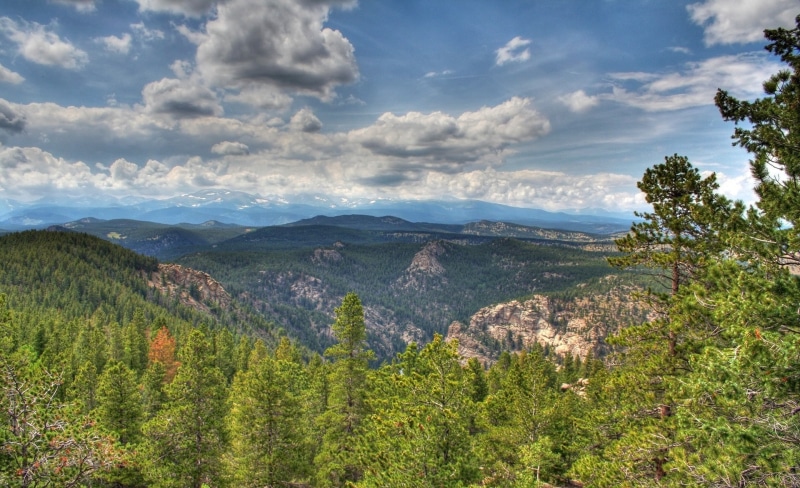 tranquility, tree, sky, Nature, environment, outdoors, leafed, mountain, treees, scenics - nature, pine woodland, day, green color, cloud - sky, idyllic