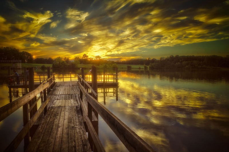 tree, railing, water, nature, outdoors, architecture, tranquility, treee, direction, scenics - nature, lake, beauty in nature, cloud - sky, pier, lakes