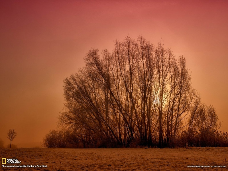 orange color, tree, outdoors, landscape, sunset, autumn, scenics - nature, fog, national, winter, land, germany, plant, nature, beauty in nature, treee