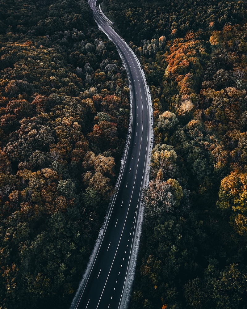 highway, aerial, road, forest, 720P, asphalt