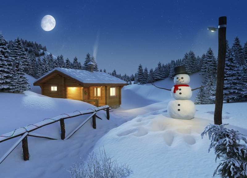 fir tree, architecture, snowcapped mountain, star - space, frozen, snowman, coniferous tree, outdoors, illuminated, moon, built structure, 4K, winter