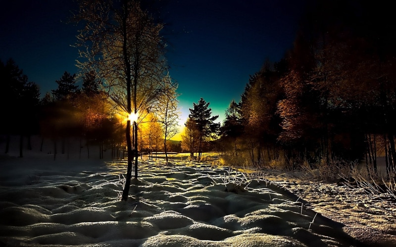 land, autumn, non-Urban Scene, young growth, snow, scenics - nature, snowdrifts, sunbeam, no People, cover, sunset, nature, landscape, dark, tranquil Scene