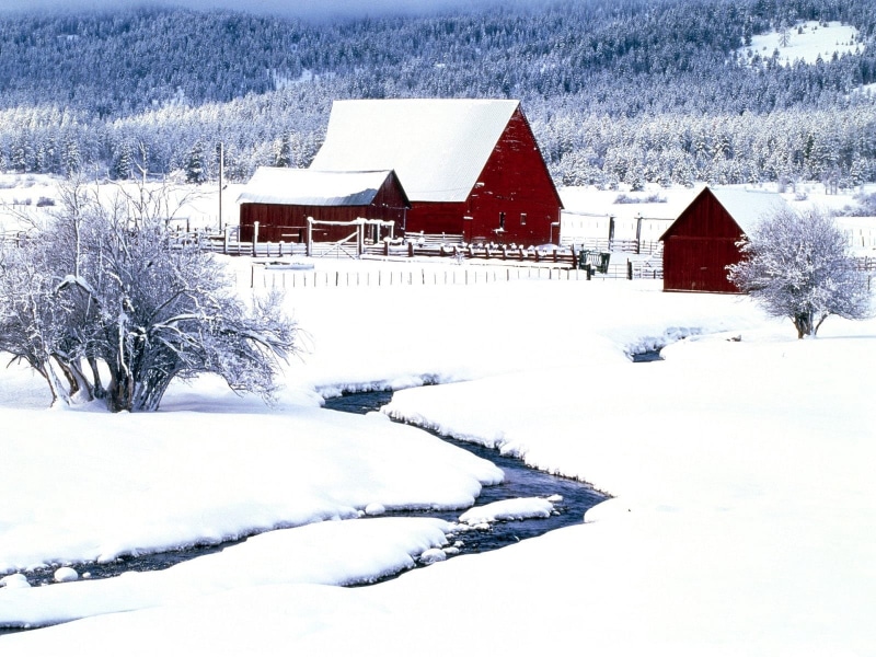frost, house, european Alps, rural Scene, idyllic, village, vacations, stream, building Exterior, tree, ice, covering, wooden, hut, cold - Temperature