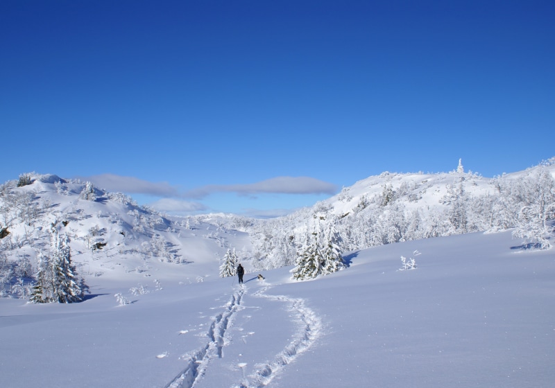 sky, landscape, white color, winter, ice, hunting, 2K, snow, environment, pine tree, europe, sport, cover, mountain Peak, panoramic, cold temperature