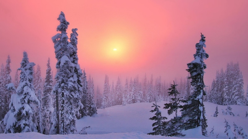 snowing, scenics - nature, mountain, tranquil Scene, non-Urban Scene, snow, blue, coniferous forest, christmas, night, frozen, morning, spruce Tree, pine