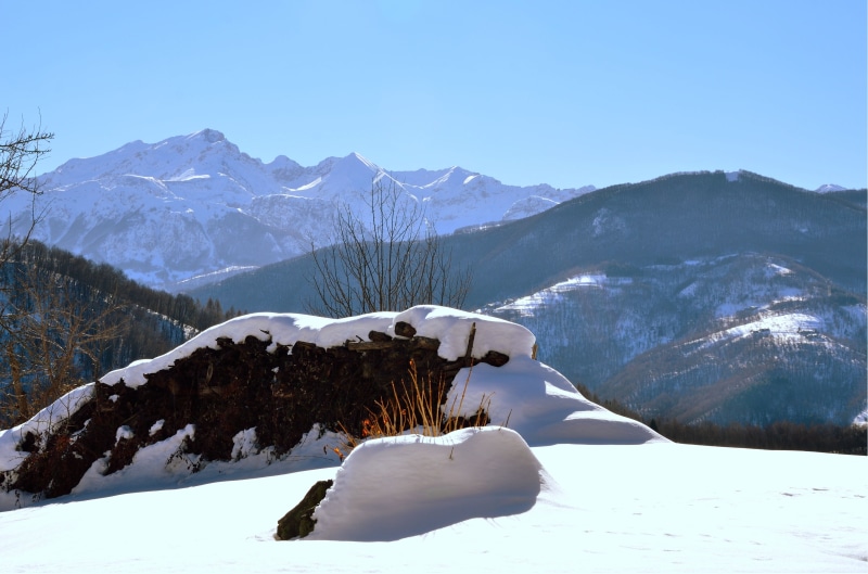 white, snowdrifts, ice, clear sky, mountain, europe, tree, mountain Peak, european Alps, environment, forest, beauty In Nature, frozen, 4K, clearly, black