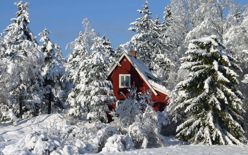 forest, sky, frozen, sport, day, beauty In Nature, white, outdoors, scenics - nature, tree, mountain, house, red, no People, season, blue, vacations, snowdrifts
