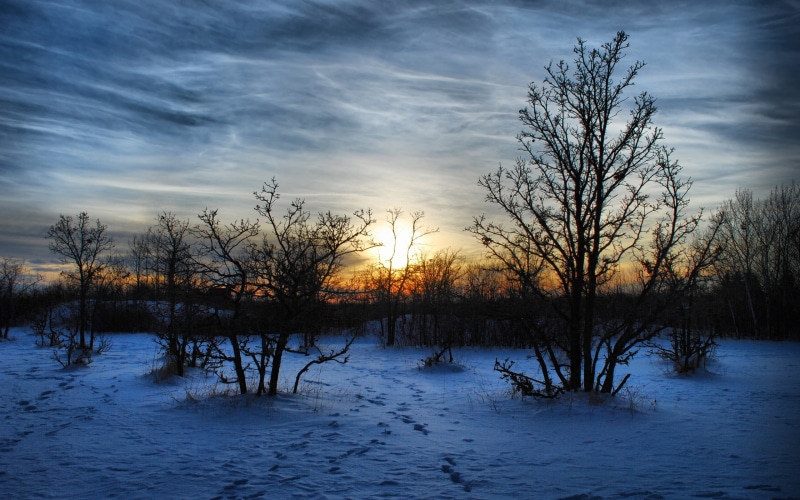 cloud - Sky, sky, forest, pond, morning, tree, bare tree, dusk, cold - Temperature, trees, colors, sunrise - Dawn, decline, reflection, plant, reed - Grass Family