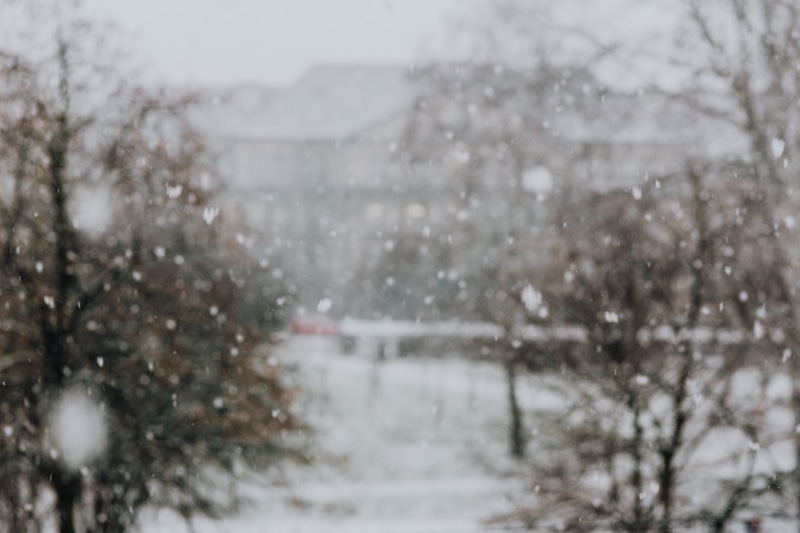 cars, white, tree, outdoors, extreme weather, winter, snowdrift, snowflake, blizzard, day, environment, architecture, snowy, no people, plant, snow, storm