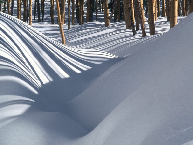day, mountain, wood, tree, shades, landscape, woodland, no people, winter, tranquility, snowdrifts, outdoors, beauty in nature, tranquil scene, non-urban scene