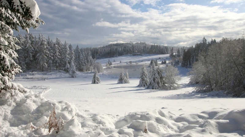 no People, tranquil Scene, weather, january, sunlight, pine, coniferous Tree, non-Urban Scene, mountain, field, ice, outdoors, cloud - Sky, forest, woodland