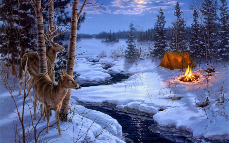 1080P, deer, snow, desktop, shadows, landscapes, animals, moon, winter, pictures, painting, darrell, bush
