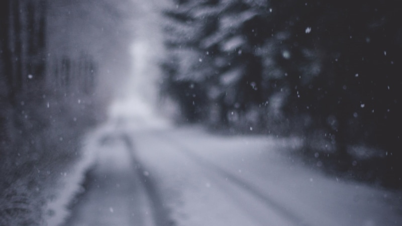 frozen, frost, torrential rain, winter, forest, abstract, street, covered, storm, 1080P, landscape, extreme weather, water, day, snowflake, backgrounds