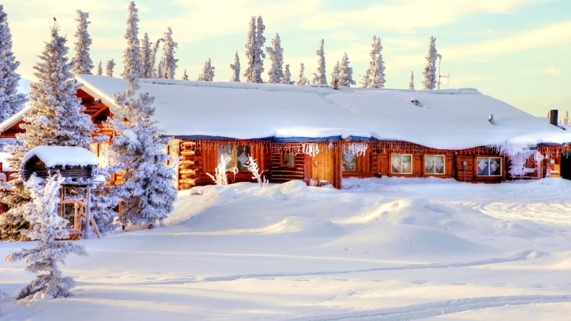1080P, Winter, House, Thick, Trees, Snow
