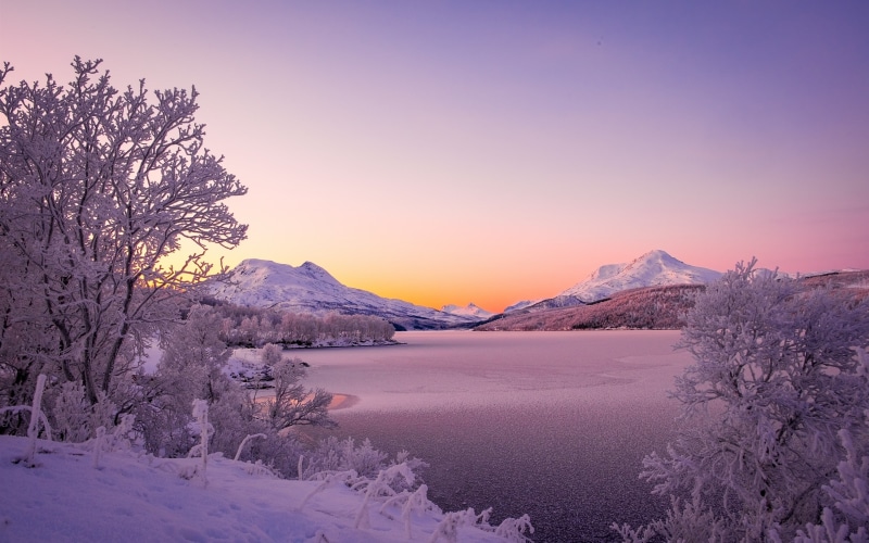 Trees, Snow, Winter, Thick, Norway, Lake, Scandinavian, 2K, Mountains