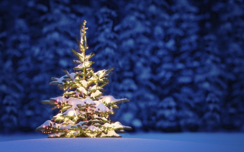 holiday, christmas, new year, 2K, gold, nature and landscapes, night, winter, snow, tree