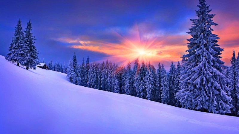 tranquil scene, trees, beauty in nature, lens flare, no people, snow, tranquility, sun, tree, 1080P, forest, sunset, winter, plant, scenics - nature, woodland