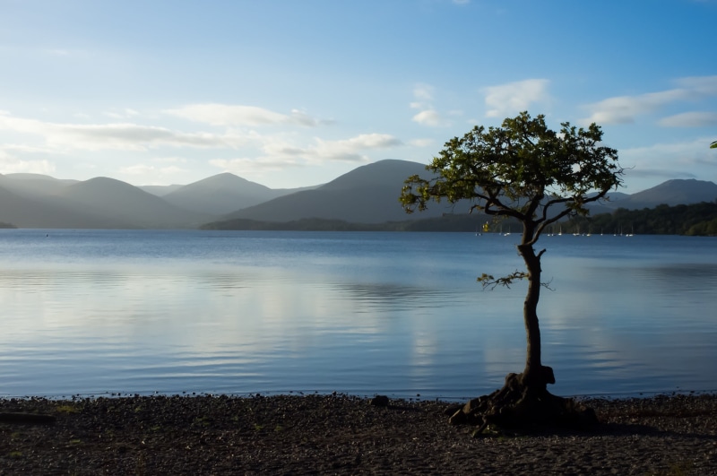 filter, silhouette, woodland, lomond, body of water, landscape, camp, scenics, body, lake, hike, beach, 1080P, tree, beside, loch, sky, mountain, Loch Lomond