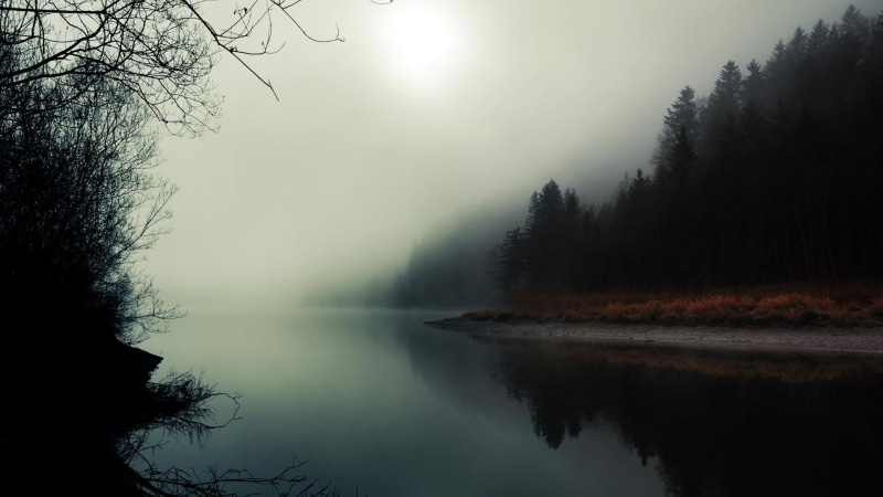 1080P, foggy, forest, nature and landscapes, river, haunting, reflection