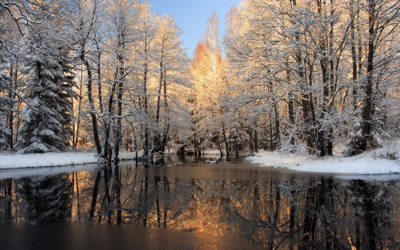 Lake, Winter, 2K, Ice, Trees, Forest, Snow