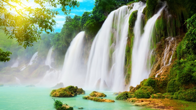 motion, nature, flowing water, 8K, flowing, growth, environment, long exposure, no people, tree, scenics - nature, 8k ultra hd waterfall picture, water