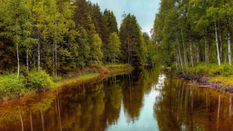 nature backgrounds images 7680x4320, 8K