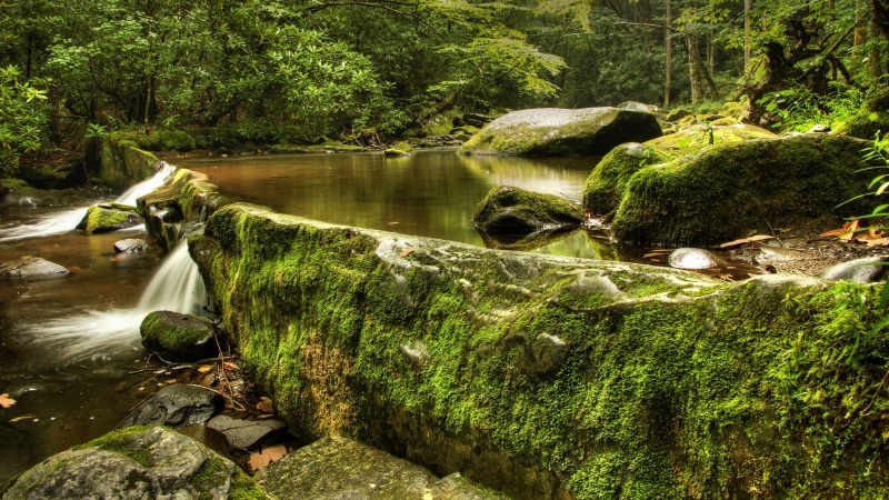 8K, nature backgrounds images 7680x4320