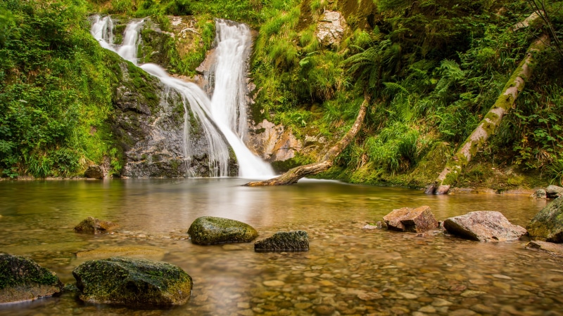 8K, nature backgrounds images 7680x4320