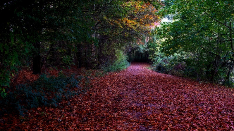 nature backgrounds images 7680x4320, 8K