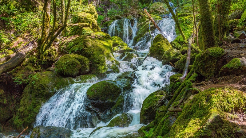nature backgrounds images 7680x4320, 8K