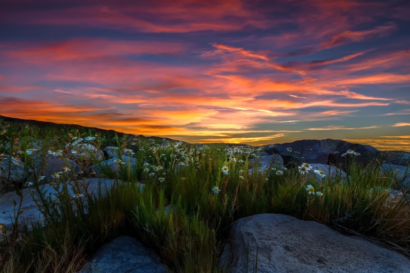 Sierra Nevada, nature, 1080P, landscape