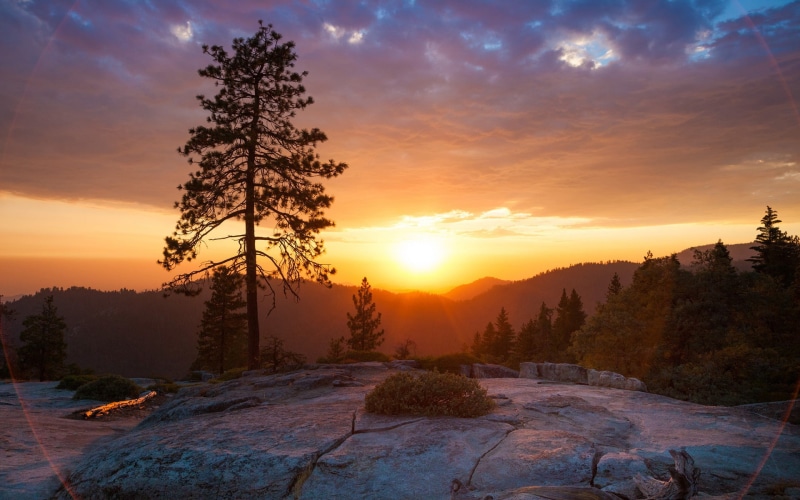 nevada, sierra nevada, tree, mountain, rock, beetle rock, 1080P, sierra, sunset, beetle