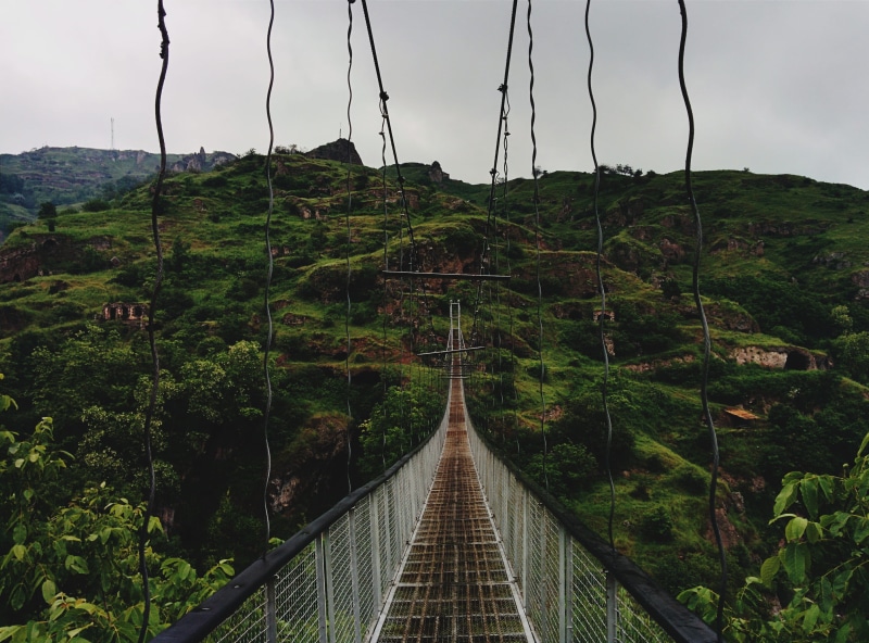 green color, rope, tree, built structure, bridge - man made structure, architecture, day, sky, direction, 2K, growth, outdoors, diminishing perspective