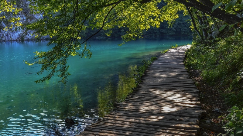 beauty in nature, scenics - nature, trees, water, tranquil scene, flowing water, tranquility, wood - material, wooden, no people, non-urban scene, growth