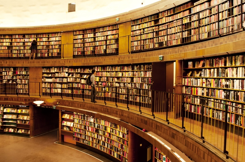 library, big, order, study, bookshelves, shelf, wooden, literature, many, 4K, choice, books, inside, in a row, shelves, university, collection, publication