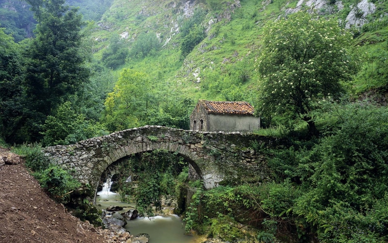river, nature, outdoors, black, connection, gray, building, water, bridge - man made structure, plant, built structure, growth, forest, stone house, tree