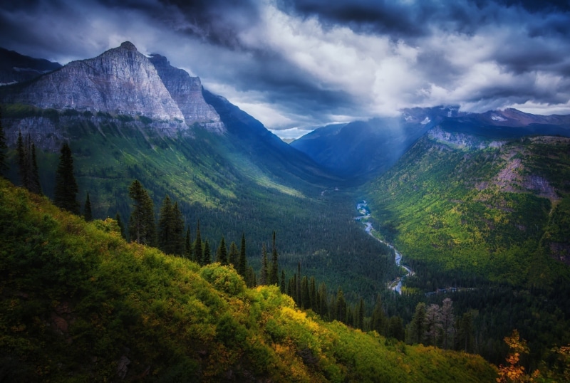 plant, cloud - sky, coniferous tree, landscape, sky, idyllic, green color, valley, forest, mountain range, beauty in nature, 1080P, tranquil scene, summer