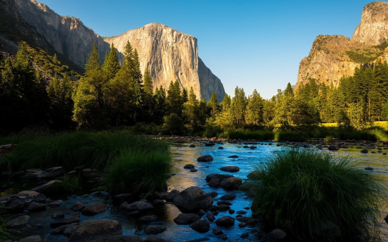 landscape, flowing, beauty in nature, trees, plant, rock formation, Yosemite Valley, tree, flowing water, tranquil scene, 1080P, tranquility, outdoors