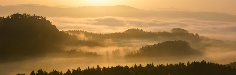 silhouette, tree, mountain, dawn, Pano, beauty In Nature, Explore, Elbsandsteingebirge, Großer Bärenstein, Nebel, Switzerland, Fog, Natur, scenics, clouds