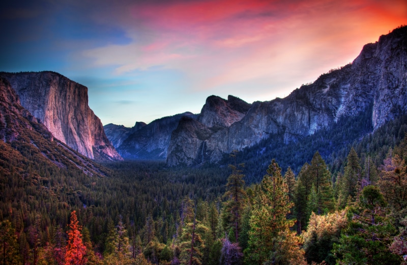 Yosemite Valley, 5K, beauty In Nature, scenics, trees, panoramic photo, Yosemite  california, photo, forest, tree, mountain, mountain Peak, panoramic